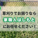 戸塚町の草刈りサービス
