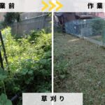 戸塚町の庭の草刈りビフォーアフター
