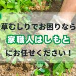 戸塚町の草むしりの作業風景