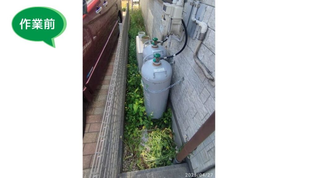 戸塚町の個人宅の庭。草が伸び放題になった作業前の様子